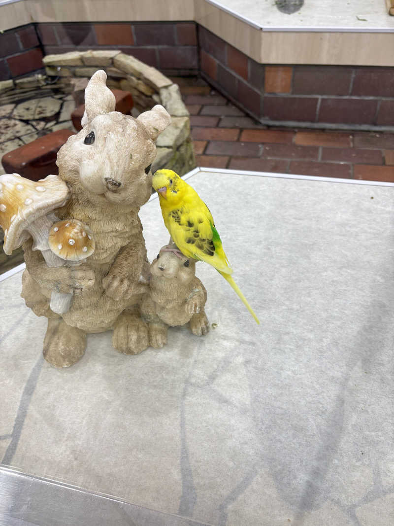 りぼんさんの湯の花江別殿のサ活写真