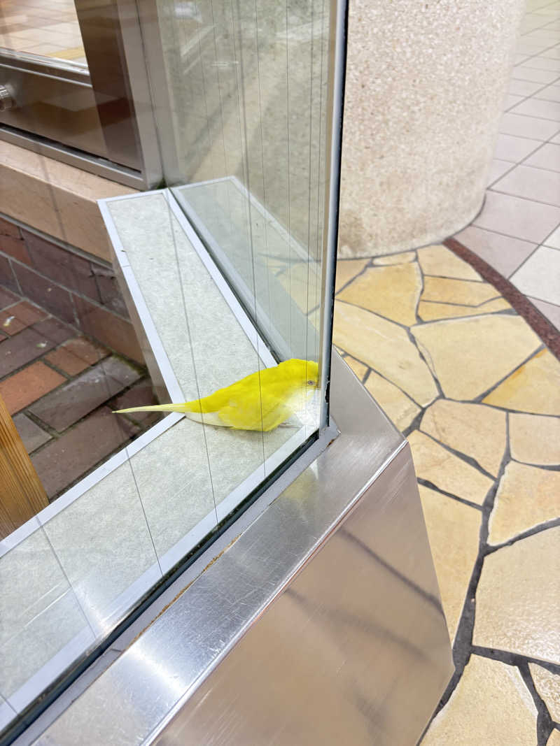 りぼんさんの湯の花江別殿のサ活写真