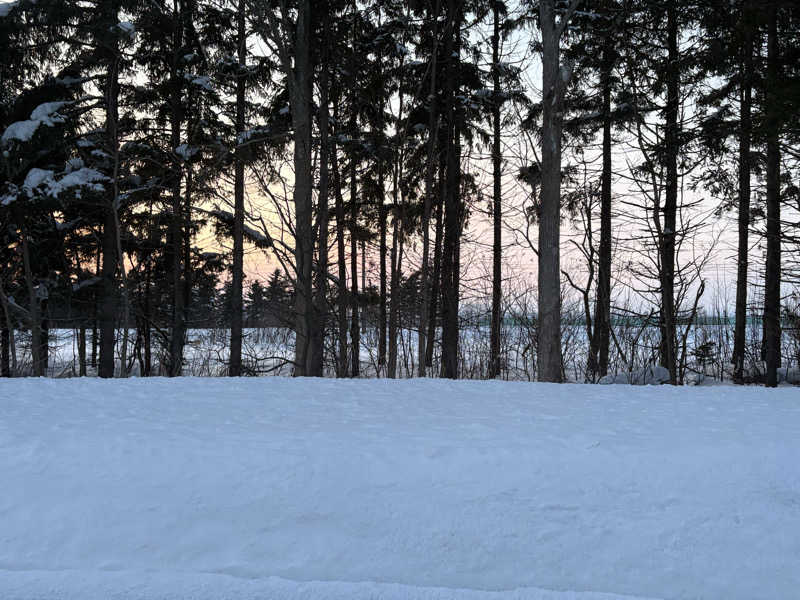 りぼんさんのえべおつ温泉ホテルのサ活写真