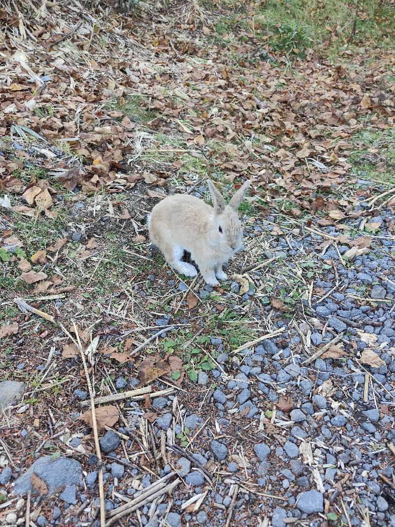 サウナニガテさんの万座亭のサ活写真