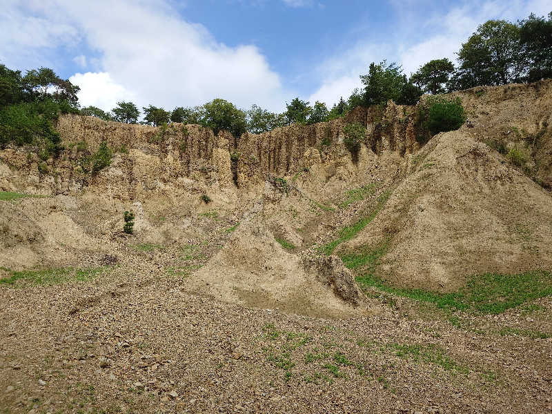 セイジ 🥃∩(^ヮ^🍁)∩🥃さんの土柱ランド新温泉のサ活写真