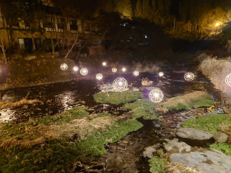 セイジ 🥃∩(^ヮ^🍁)∩🥃さんのいこい旅館のサ活写真