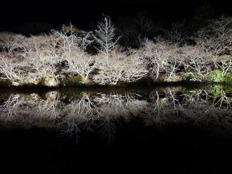 セイジ 🥃∩(^ヮ^🍁)∩🥃さんの御船山楽園ホテル  らかんの湯のサ活写真