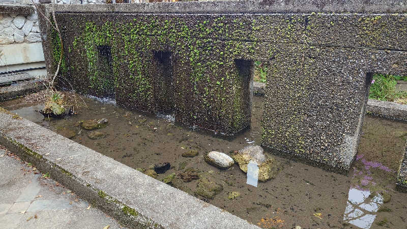 セイジ 🥃∩(^ヮ^🍁)∩🥃さんの土佐和紙工芸村QRAUD(くらうど)のサ活写真