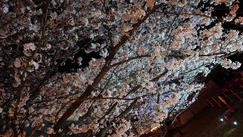 セイジ 🥃∩(^ヮ^🍁)∩🥃さんの天然温泉 香南楽湯のサ活写真