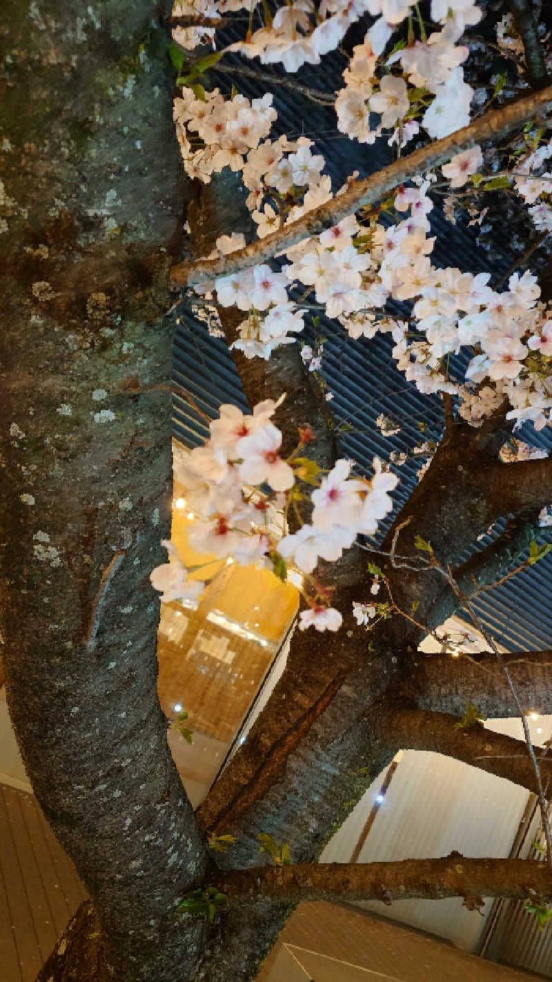 セイジ 🥃∩(^ヮ^🍁)∩🥃さんの天然温泉 香南楽湯のサ活写真