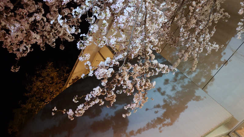 セイジ 🥃∩(^ヮ^🍁)∩🥃さんの天然温泉 香南楽湯のサ活写真