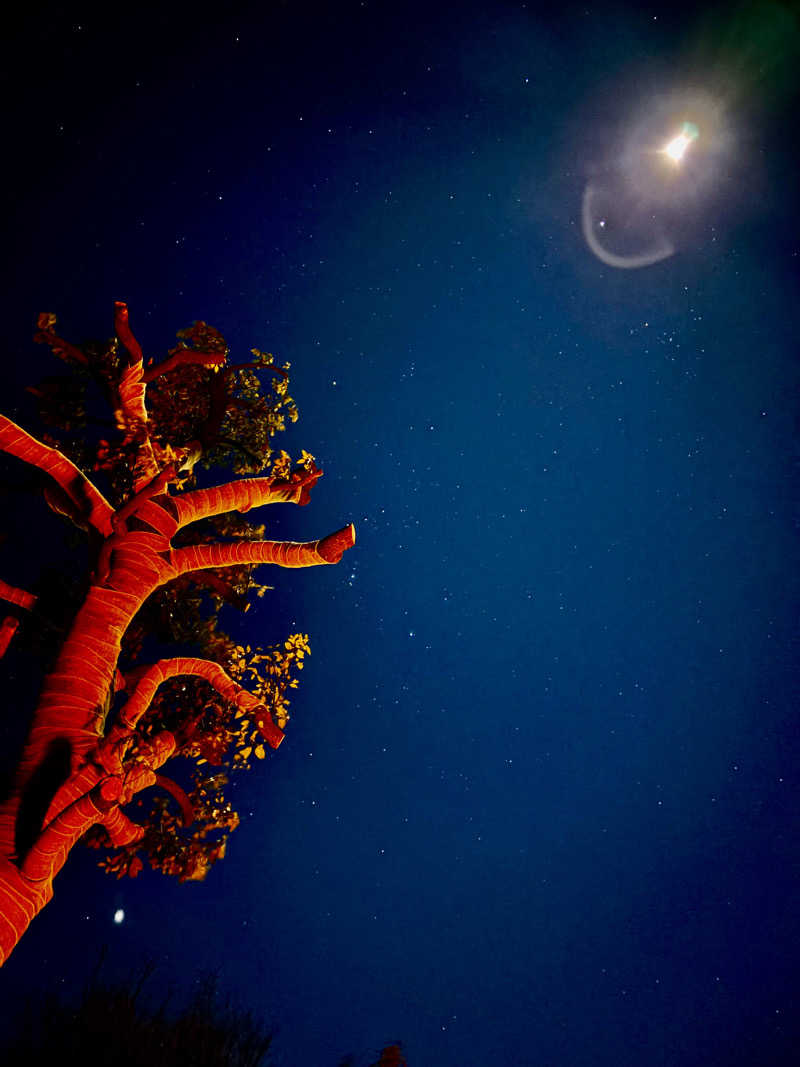 YoshikiさんのTHE W Relax Garden Resortのサ活写真