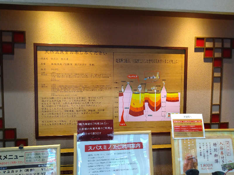 Gunsyuさんの天然露天温泉 スパスミノエのサ活写真