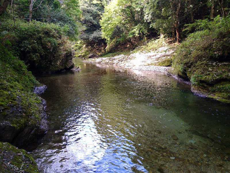 Gunsyuさんの霧の森 交湯〜館のサ活写真