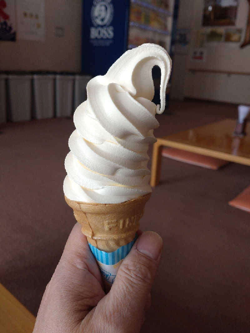 かつどんさんの峠の湯びほろのサ活写真