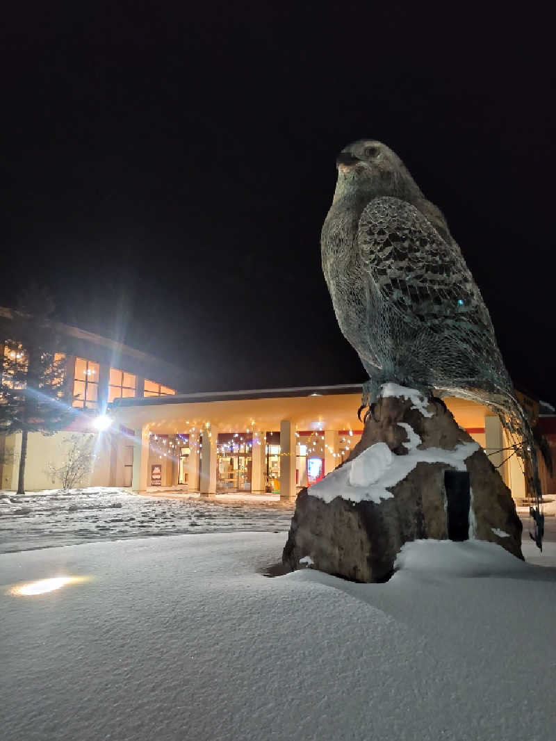 かつどんさんのおけと勝山温泉ゆぅゆのサ活写真