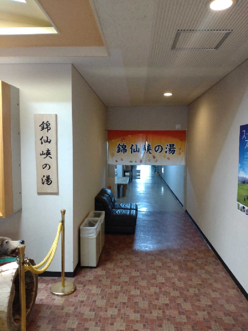 かつどんさんのたきのうえホテル渓谷のサ活写真