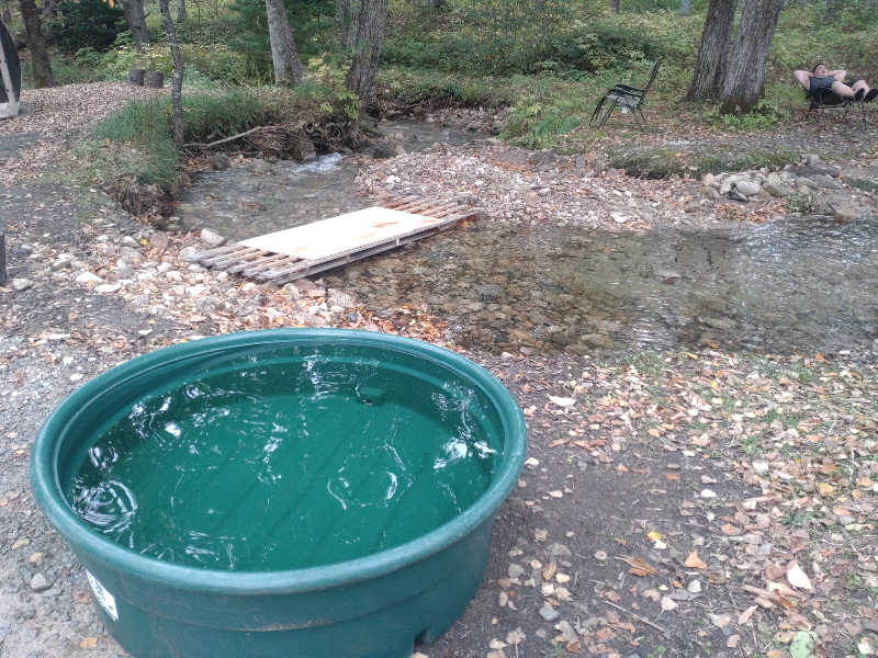 かつどんさんの遊び小屋コニファーのサ活写真