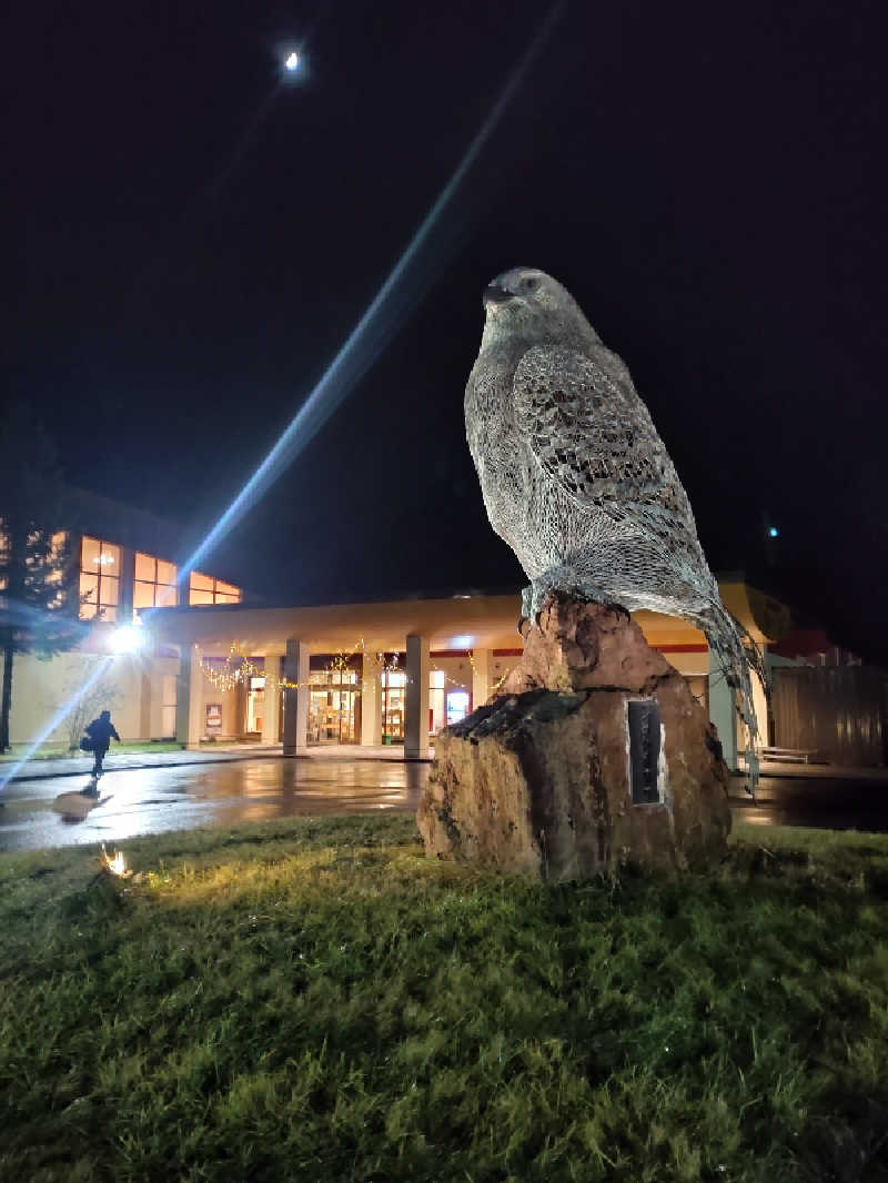 かつどんさんのおけと勝山温泉ゆぅゆのサ活写真