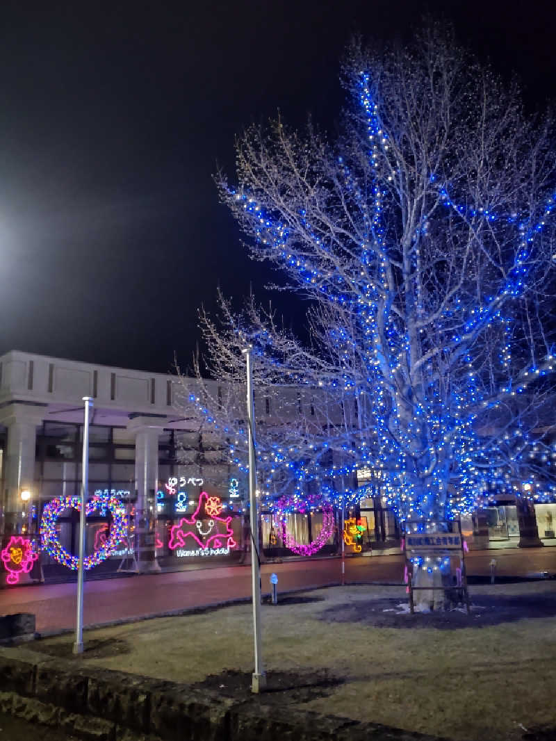 かつどんさんの道の駅 かみゆうべつ温泉チューリップの湯のサ活写真