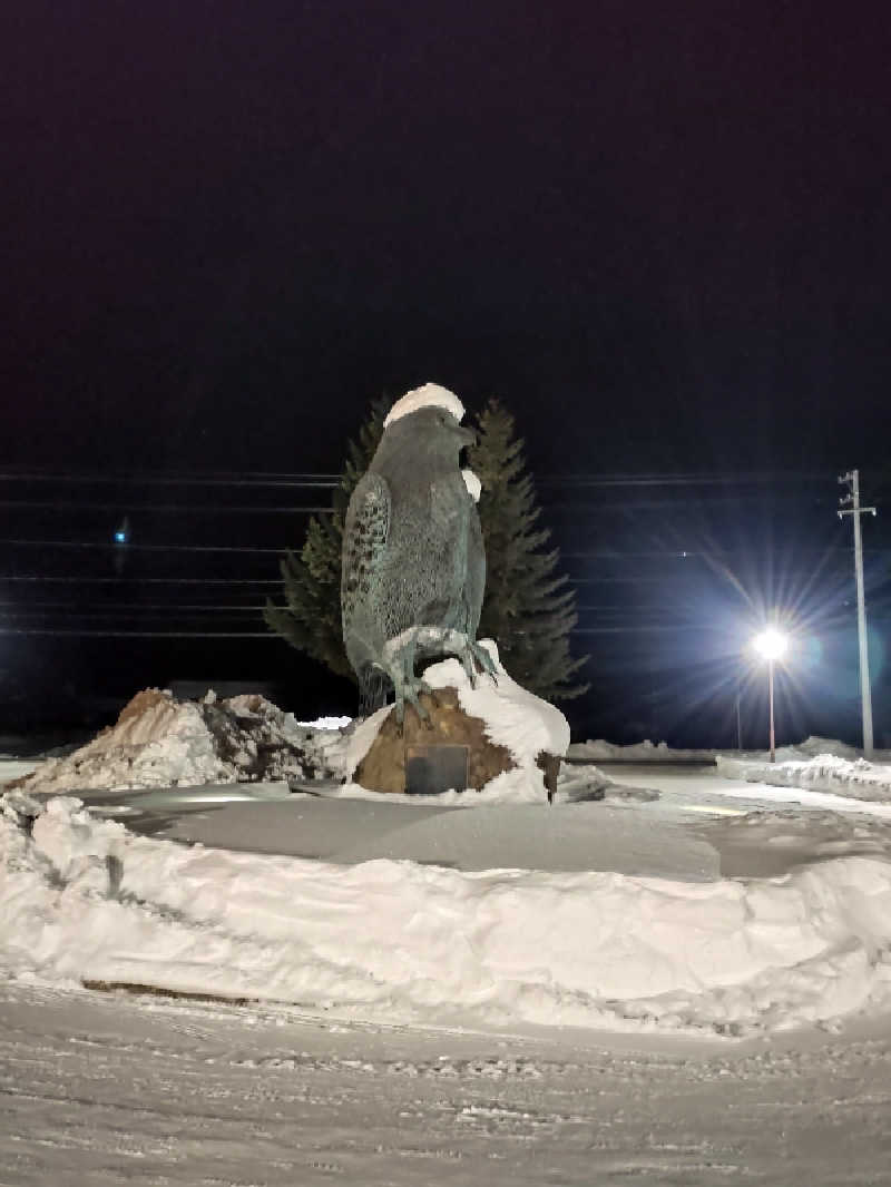 かつどんさんのおけと勝山温泉ゆぅゆのサ活写真