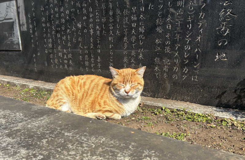 naさんのルビーパレスのサ活写真