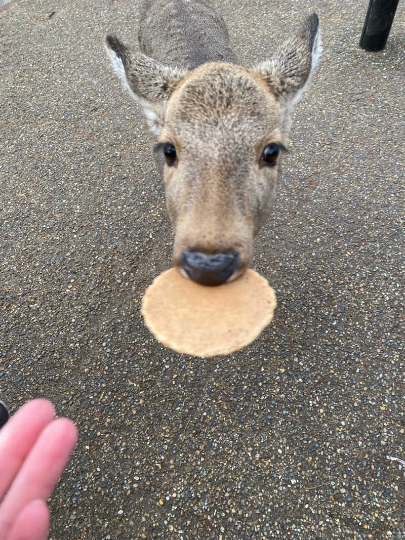 青のすみかさんの奈良健康ランドのサ活写真