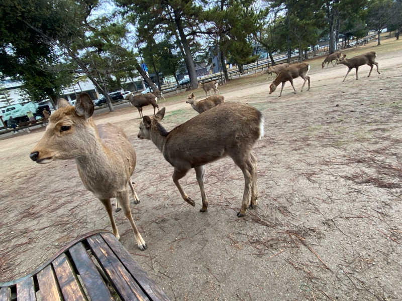 青のすみかさんの奈良健康ランドのサ活写真