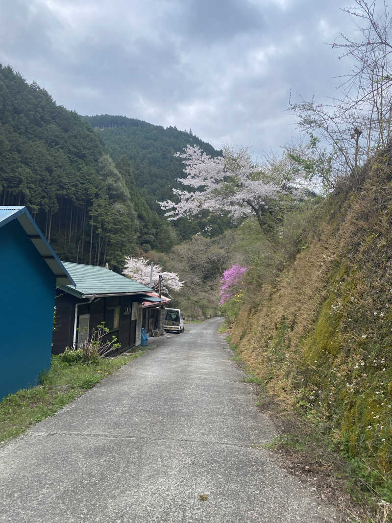 青のすみかさんの天子荘 てんからハウスのサ活写真