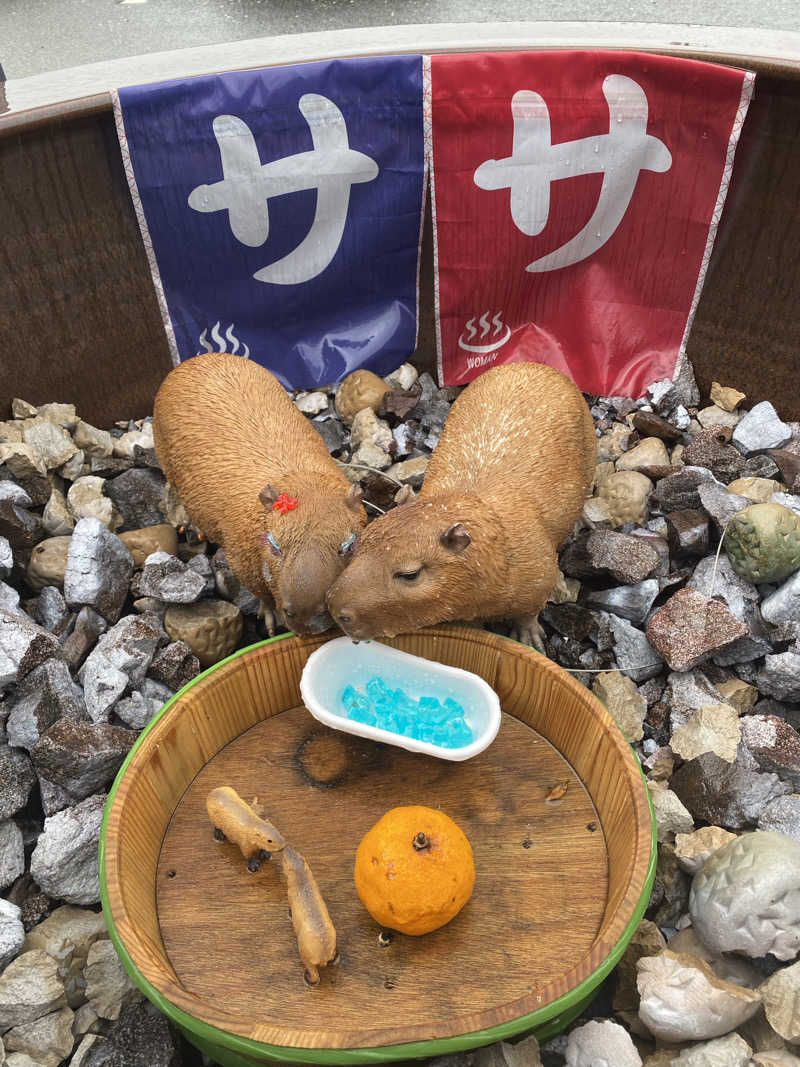 青のすみかさんの富士山天然水SPA サウナ鷹の湯のサ活写真