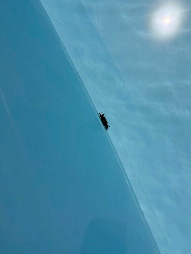 青のすみかさんの積凪KITAKEN棟 -泊Ruttoのサ活写真