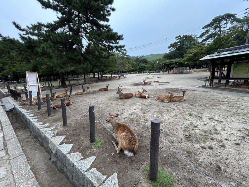 さんせっとサウナさんのゆららの湯 奈良店のサ活写真