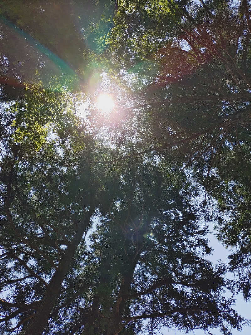 mikaさんのバレルサウナsuiのサ活写真