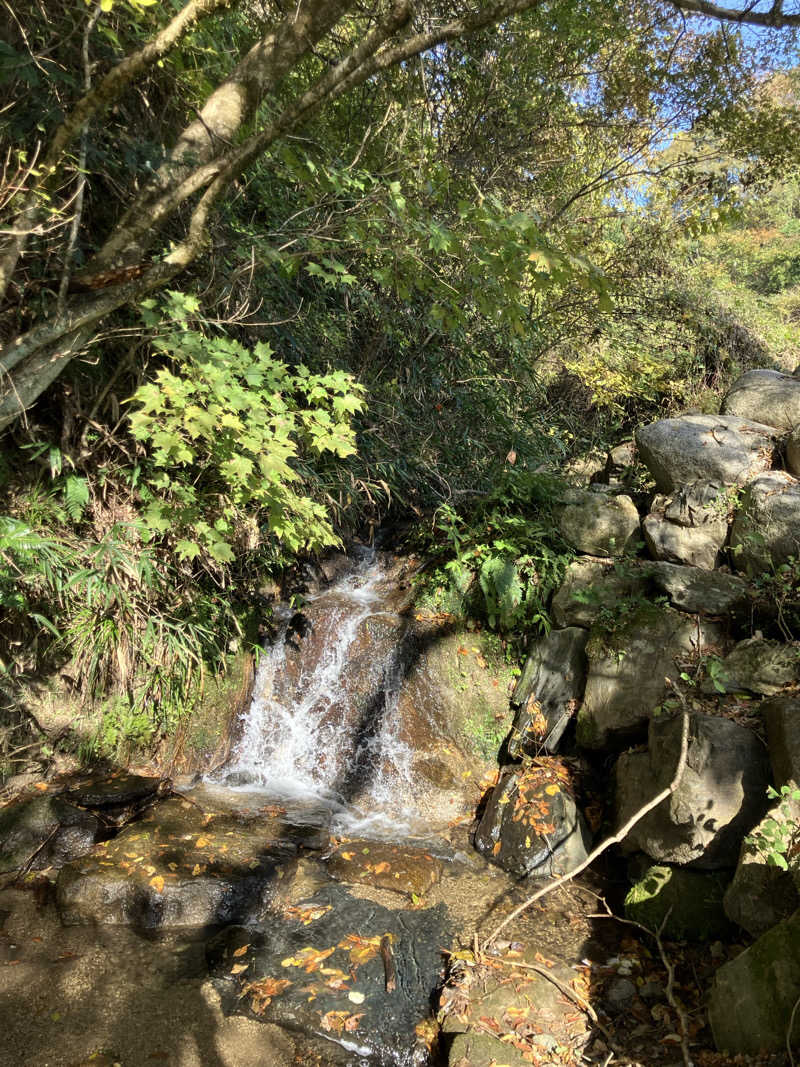 必然さんさんのMIDORITO SAUNA(ミドリトサウナ) Glamorous BBQ&Campのサ活写真