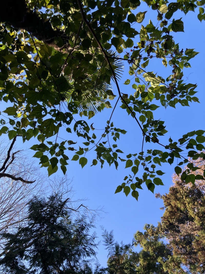 必然さんさんのサウナ蓑蒸のサ活写真