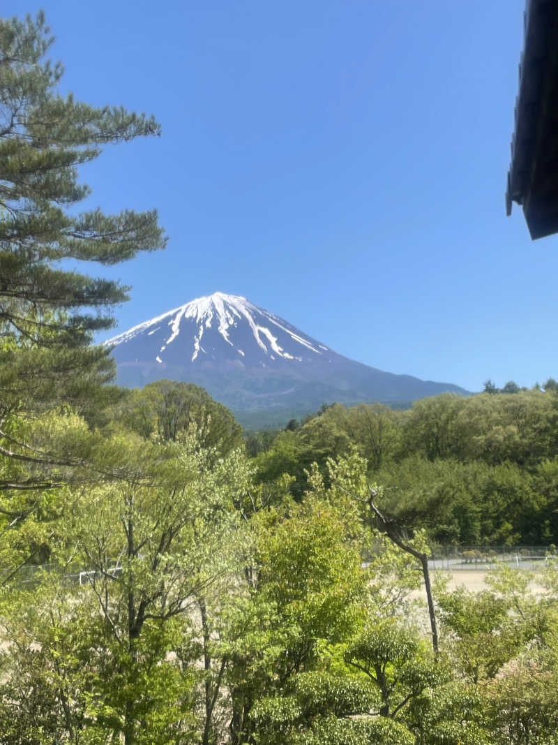 さかなさんの富士眺望の湯 ゆらりのサ活写真