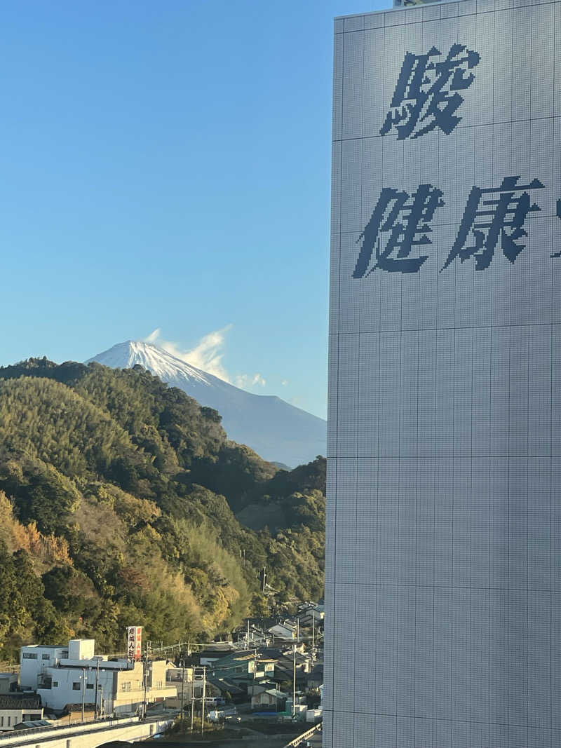 さかなさんの駿河健康ランドのサ活写真