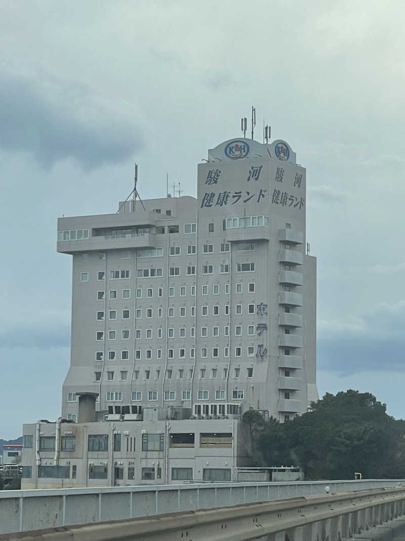 さかなさんの駿河健康ランドのサ活写真