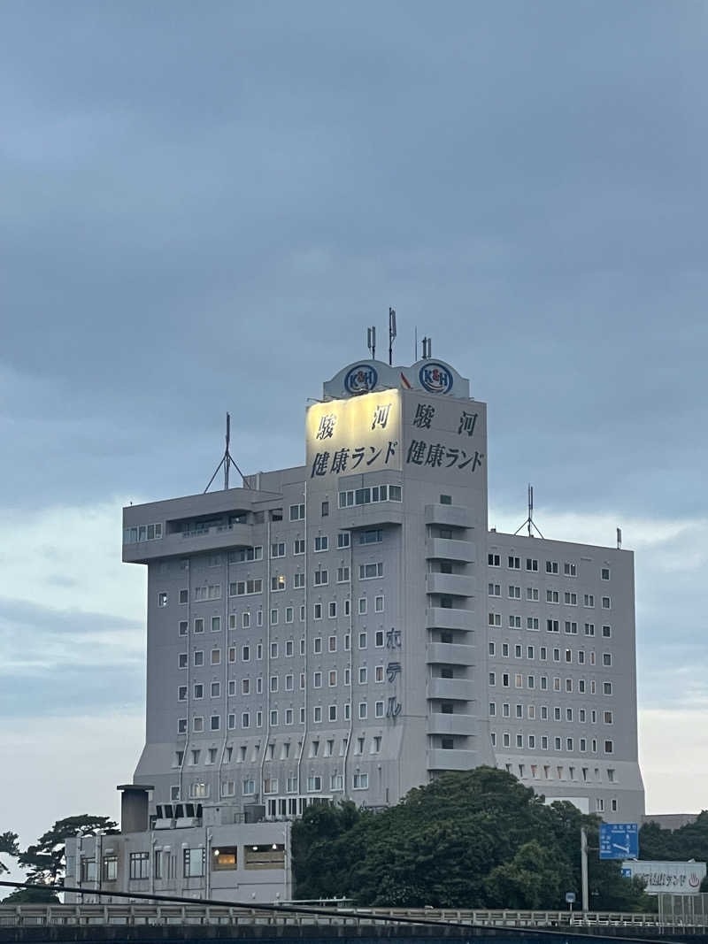 さかなさんの駿河健康ランドのサ活写真