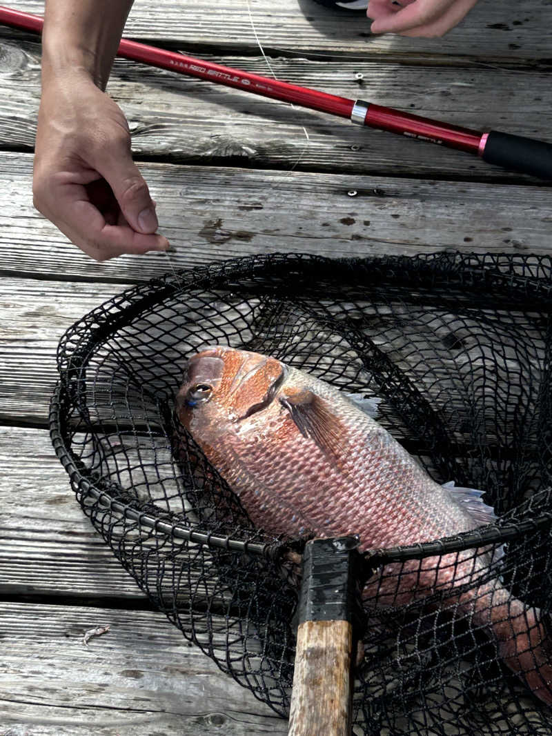 Guruさんのみずほ温泉千年の湯のサ活写真