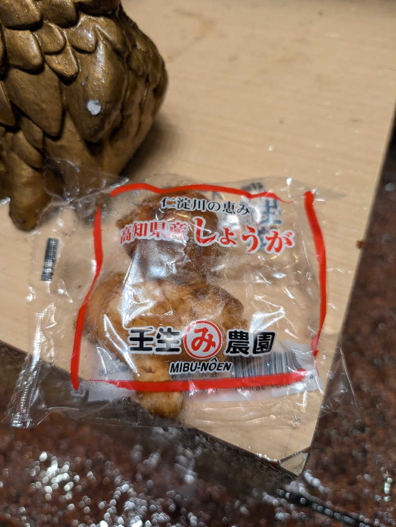 坂井 亮太さんの生姜サウナ 金の亀のサ活写真
