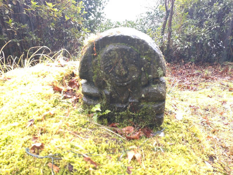 うめとらさんの白鳥温泉上湯のサ活写真