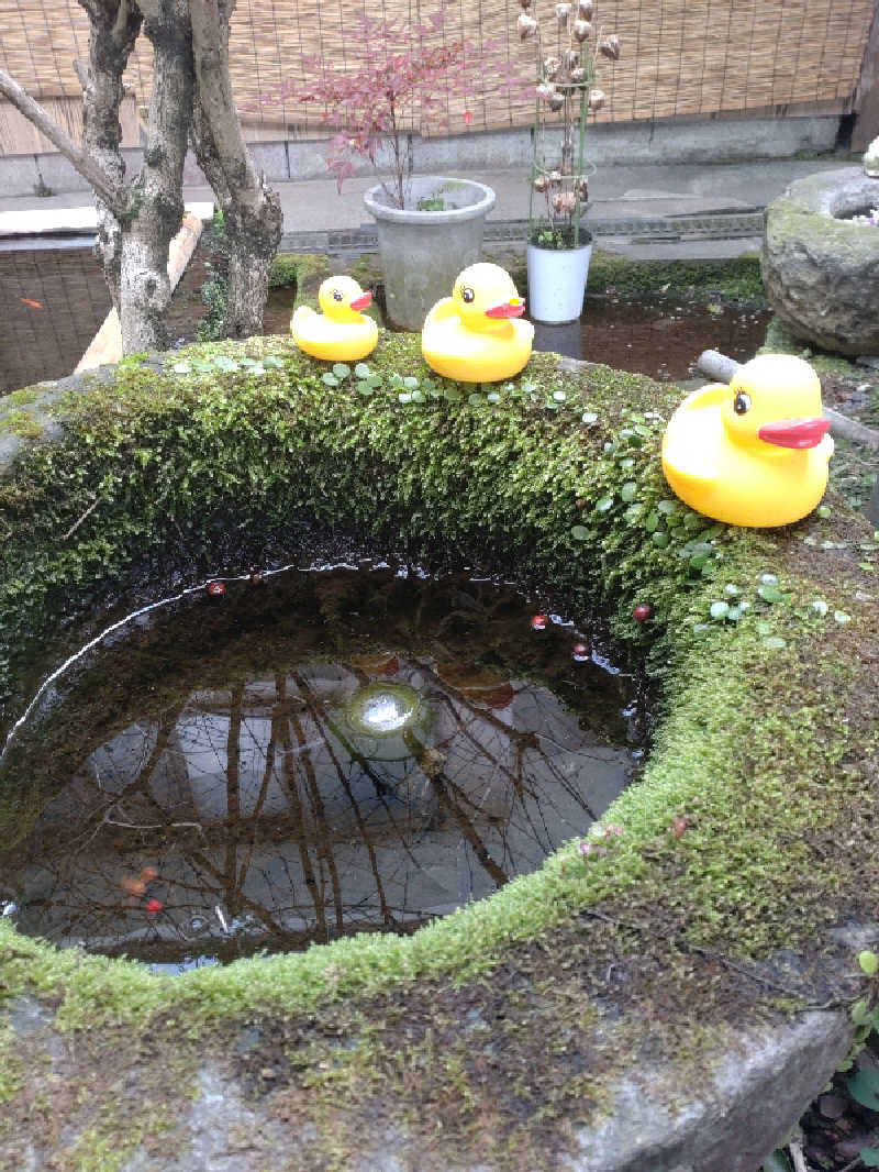 うめとらさんの湯之元温泉のサ活写真