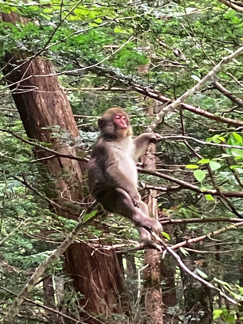 ちさんの林檎の湯屋 おぶ～のサ活写真