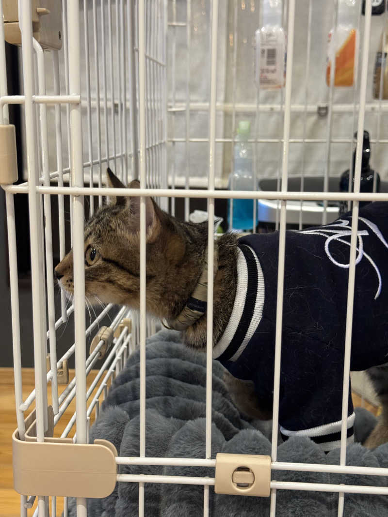 けんいちさんの大津湯のサ活写真