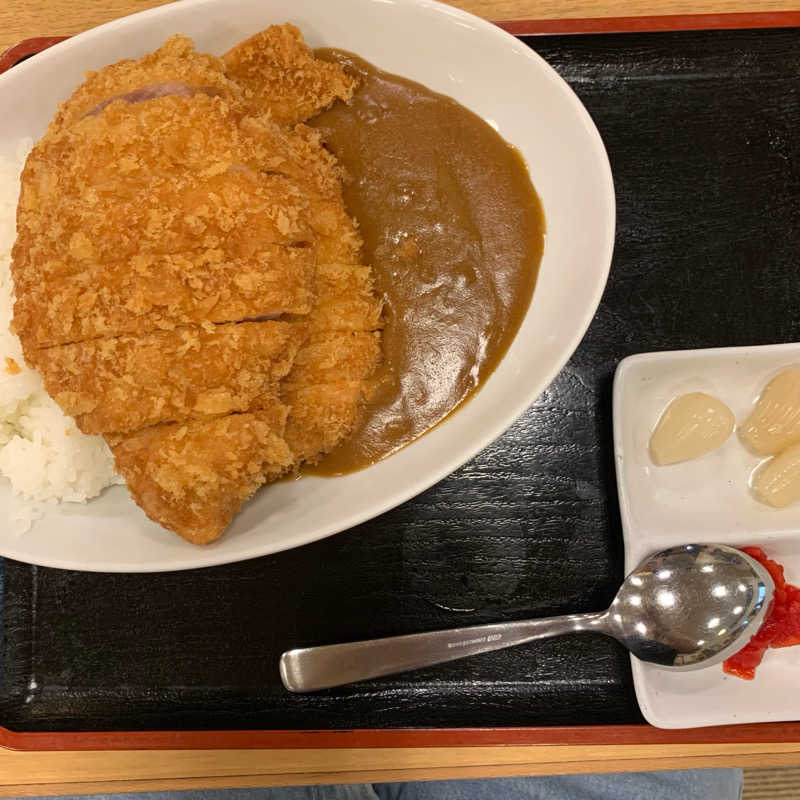 ドラちゃんさんの湯乃泉 草加健康センターのサ活写真