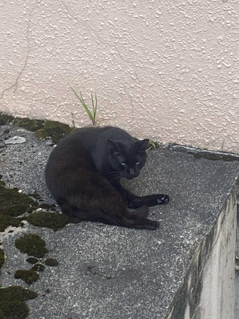 温泉スネークさんの定山渓 鹿の湯のサ活写真