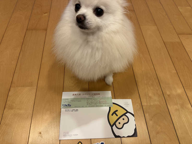 masaさんのホテルマウント富士のサ活写真