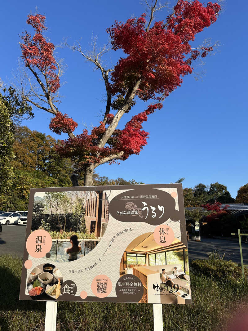 masaさんのさがみ湖温泉 うるりのサ活写真