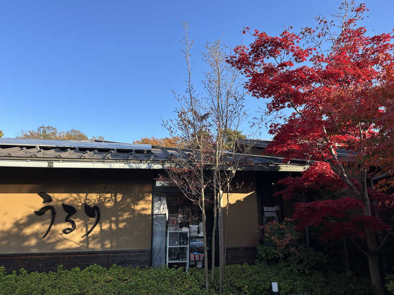 masaさんのさがみ湖温泉 うるりのサ活写真