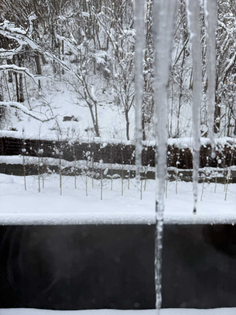 ____y.yさんの休日湯のサ活写真