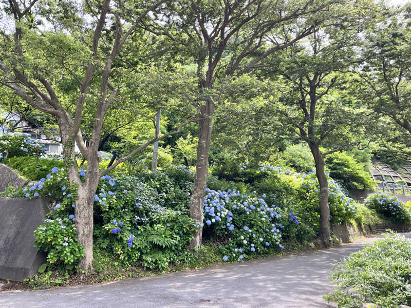 マチャンさんの龍の湯のサ活写真