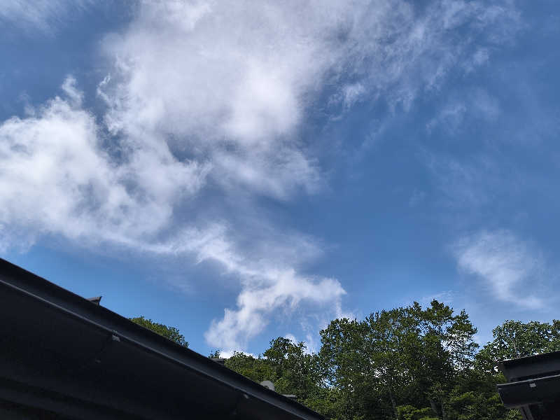 サウナはメタル🤘さんのさる倉サウナ (元湯 猿倉温泉)のサ活写真