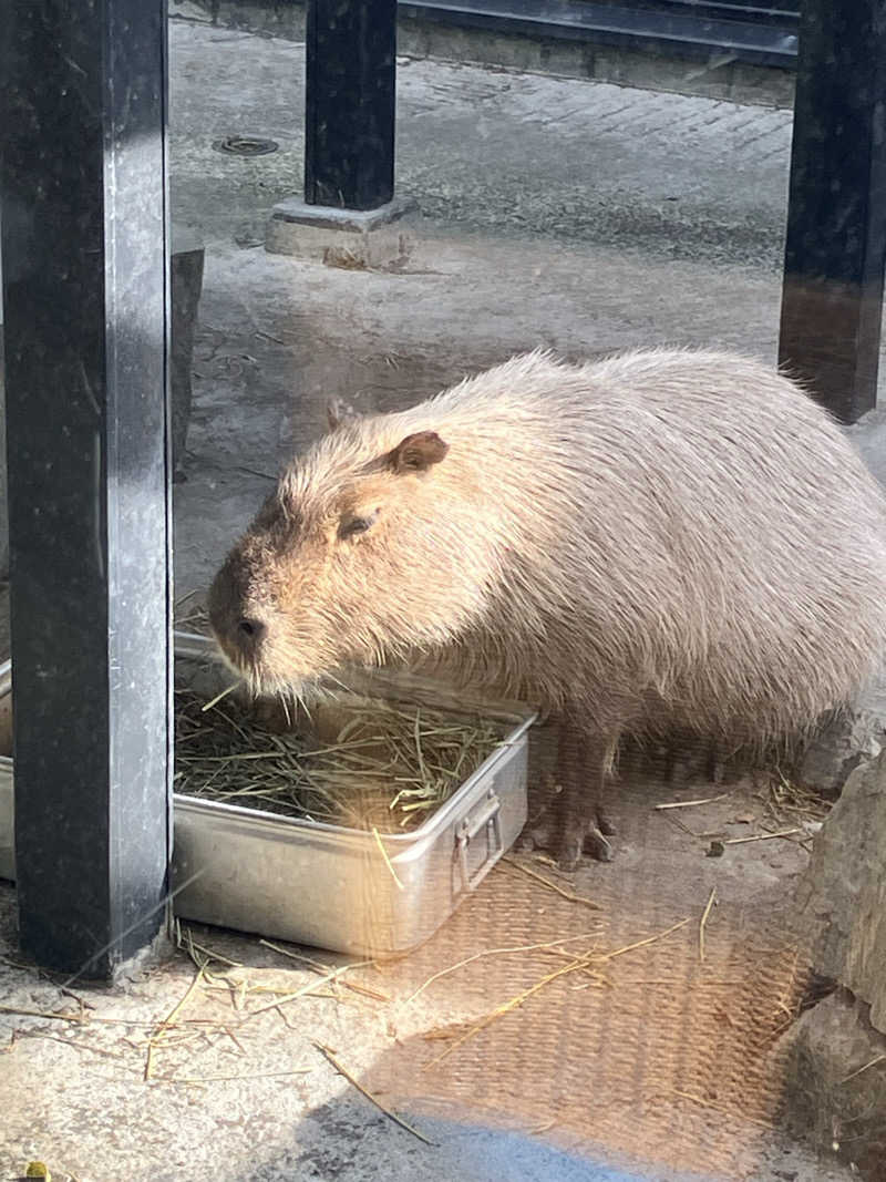 リフレ猫（たまにサウナ猫）さんの石狩天然温泉 番屋の湯のサ活写真